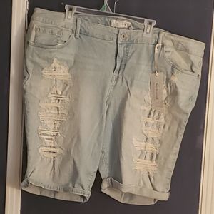 Torrid jean shorts